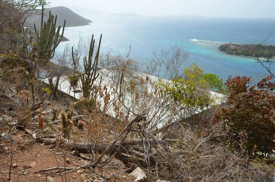 Elevated water buffer on a hill on the British Virgin Islands