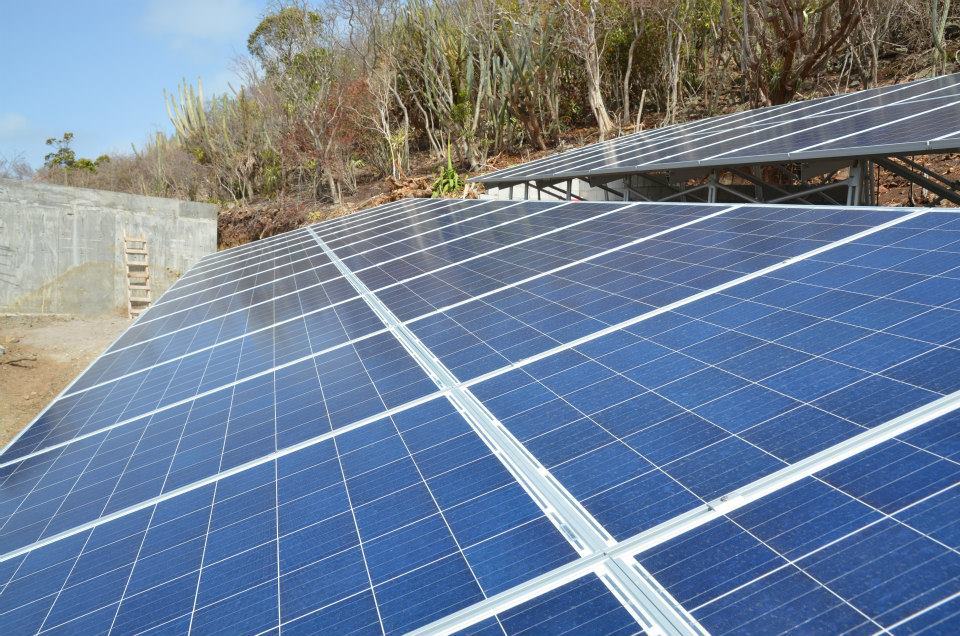 Solar panels placed on a hill with bushes and other small plants