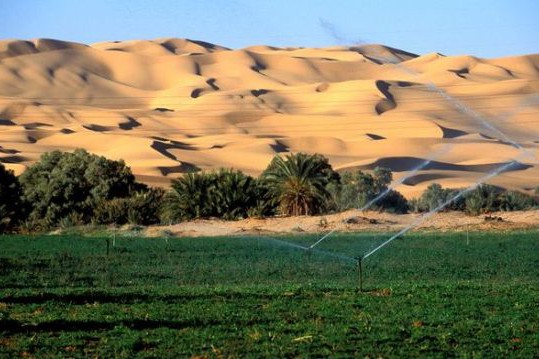 Agricultural irrigation in the middle of the desert made possible by elemental water makers